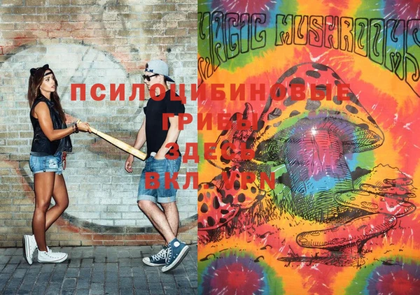 спиды Беломорск
